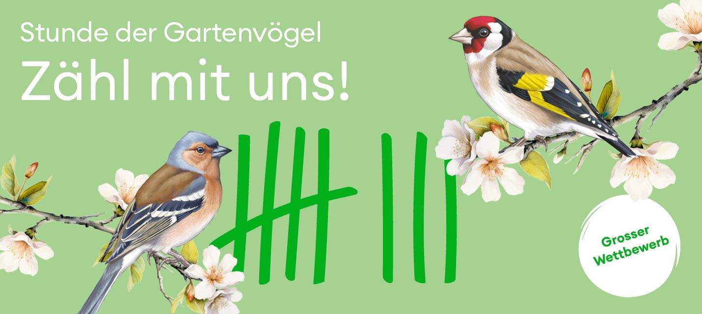 Stunde der Gartenvögel, 7.-11. Mai 2025 Stunde der Gartenvögel, 7.-11. Mai 2025