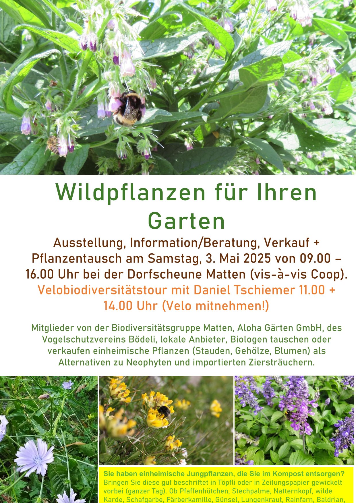 Wildpflanzen fr Ihren Garten