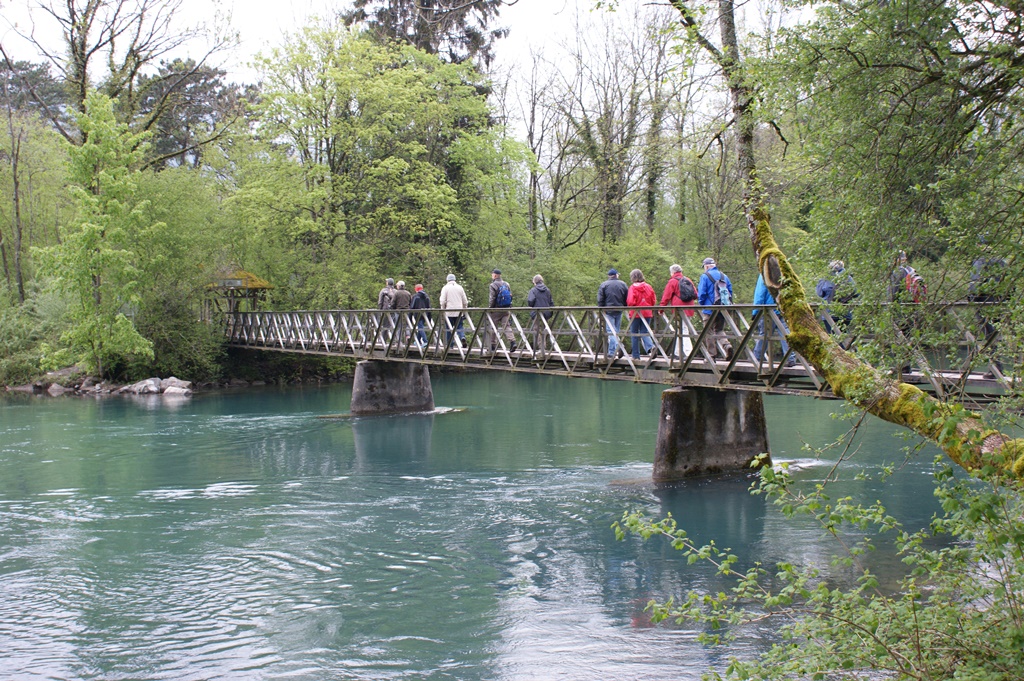 Naturschutzgebiet Weissenau Naturschutzgebiet Weissenau