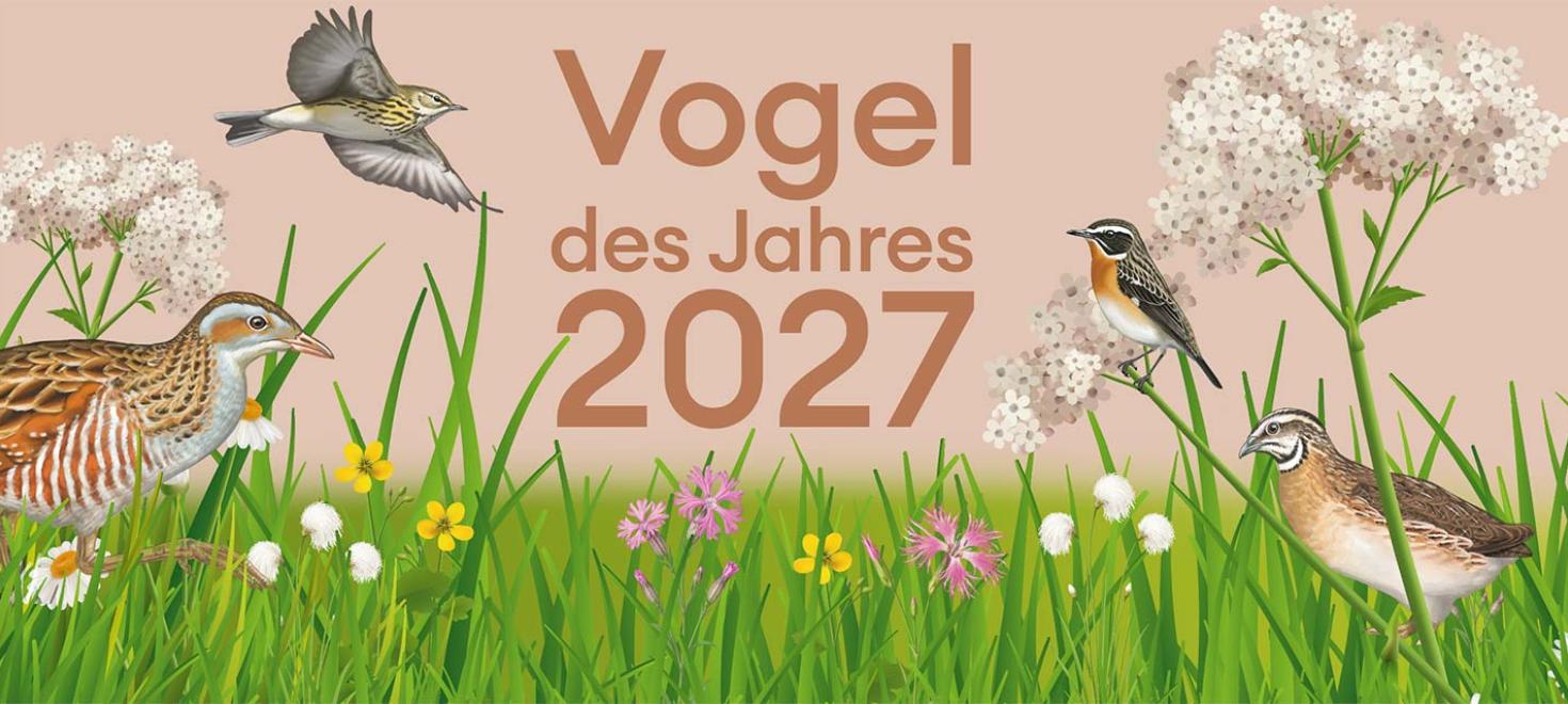 jetzt abstimmen 