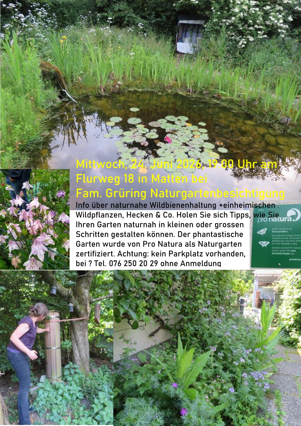 Gartenbesichtigung Grrings 24Jun26 1