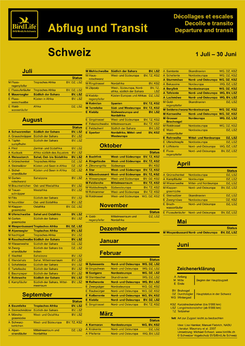 Birdlife Zugvogel Abflug und Transit web