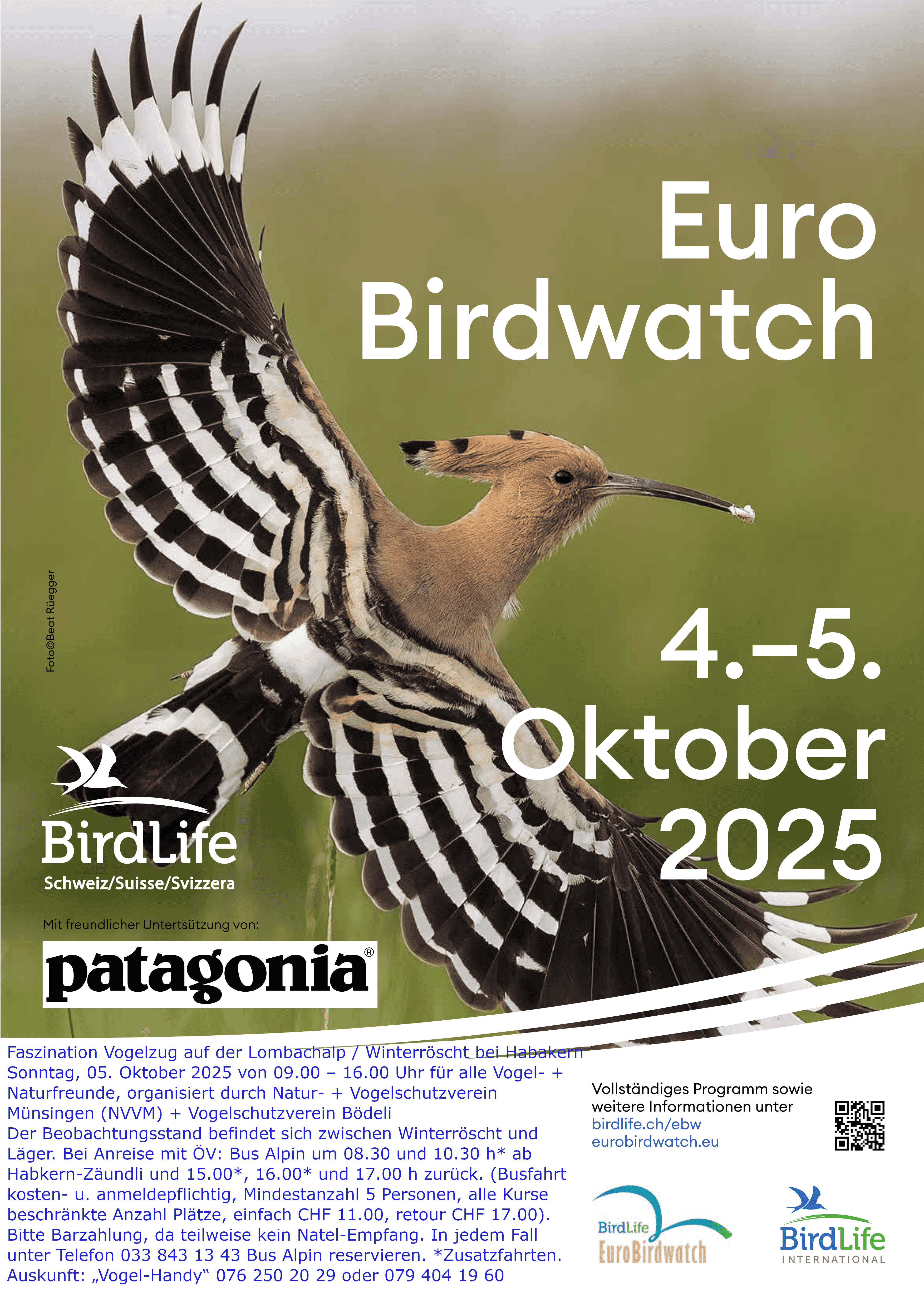 Eurobirdwatch Zugvogeltag 5Oct25 reduced