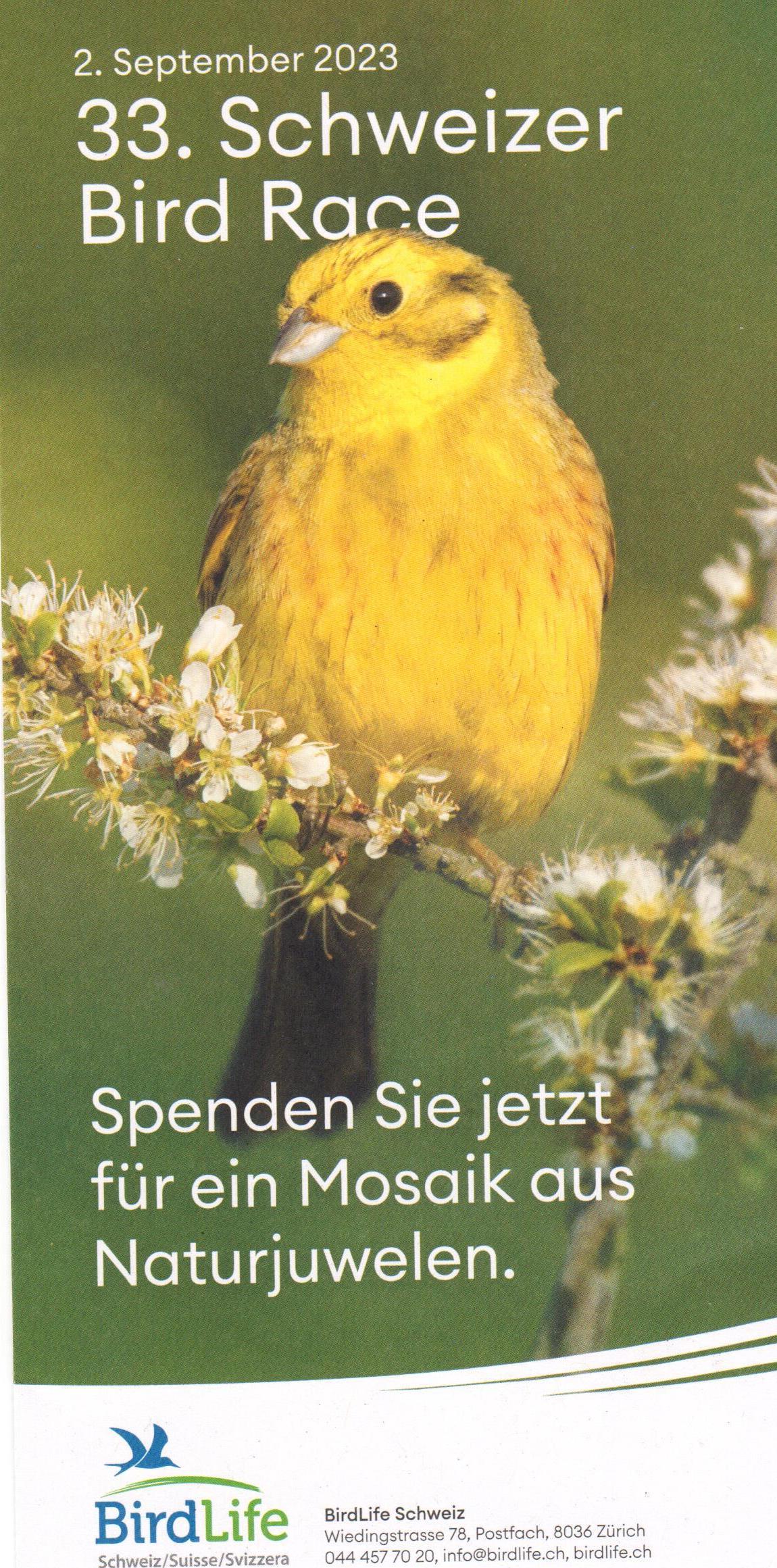 birdrace web