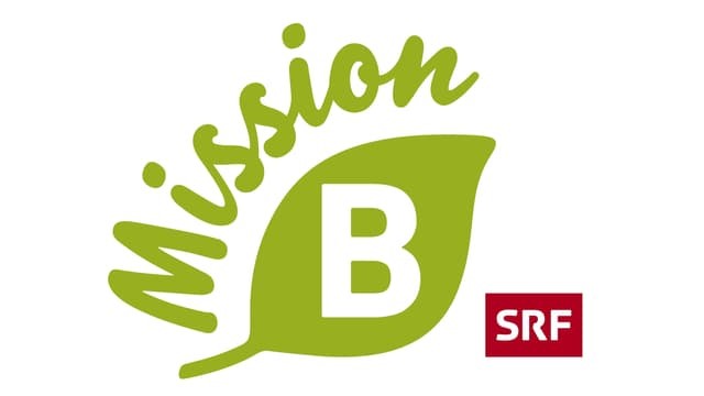 logoMissionB